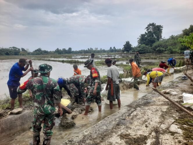 
					Sambut Kemerdekaan RI Ke-80, Koramil 1412-05/Pakue, Kodim 1412/Kolaka Gelar Karya Bakti Bersihkan Drainase Persawahan
