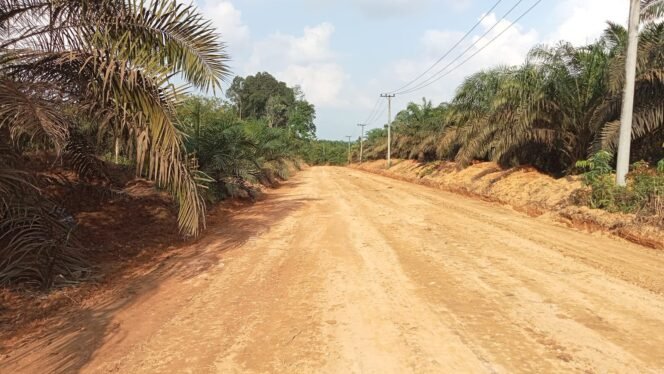 
Penyiapan Badan Jalan TMMD ke-125 Kodim 1017/Lmd Capai 100% di Minggu ke-3