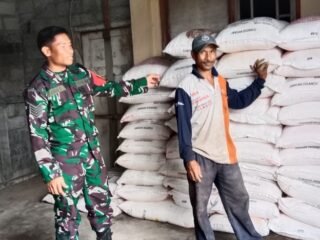 Turun Langsung Cek Ketersediaan Pupuk, Langkah Nyata Babinsa Banjarangkan Sejahterakan Petani