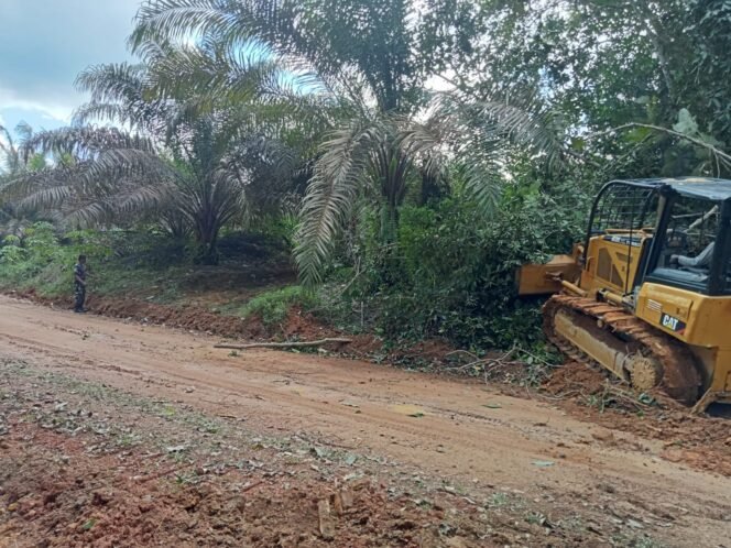 
					Penyiapan Badan Jalan TMMD Kodim 1017/Lamandau Capai 32,46%, Akses Warga Semakin Terbuka