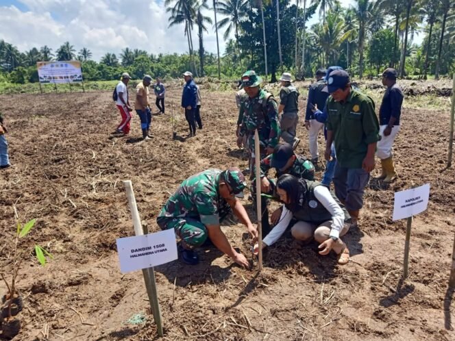 
					Komandan Kodim 1508/Tobelo Tegaskan Ketahanan Pangan Lewat Penanaman Agroforestry di Desa Toliwang