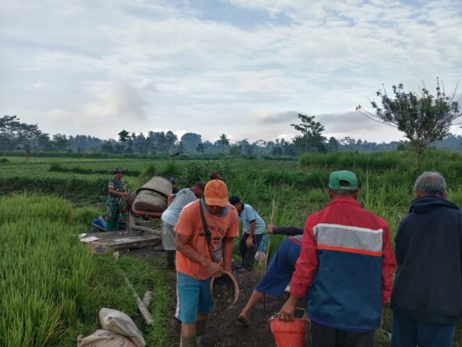 
Babinsa Desa Peninjoan Dorong Perekonomian Warga Lewat Gotong Royong Jalan Usaha Tani