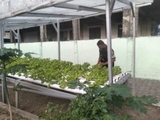 Piket Makodim Tampak Sedang Memberi Makanan Ikan, Ayam Petelur dan Merawat Tanaman Di Pekarangan Kantor