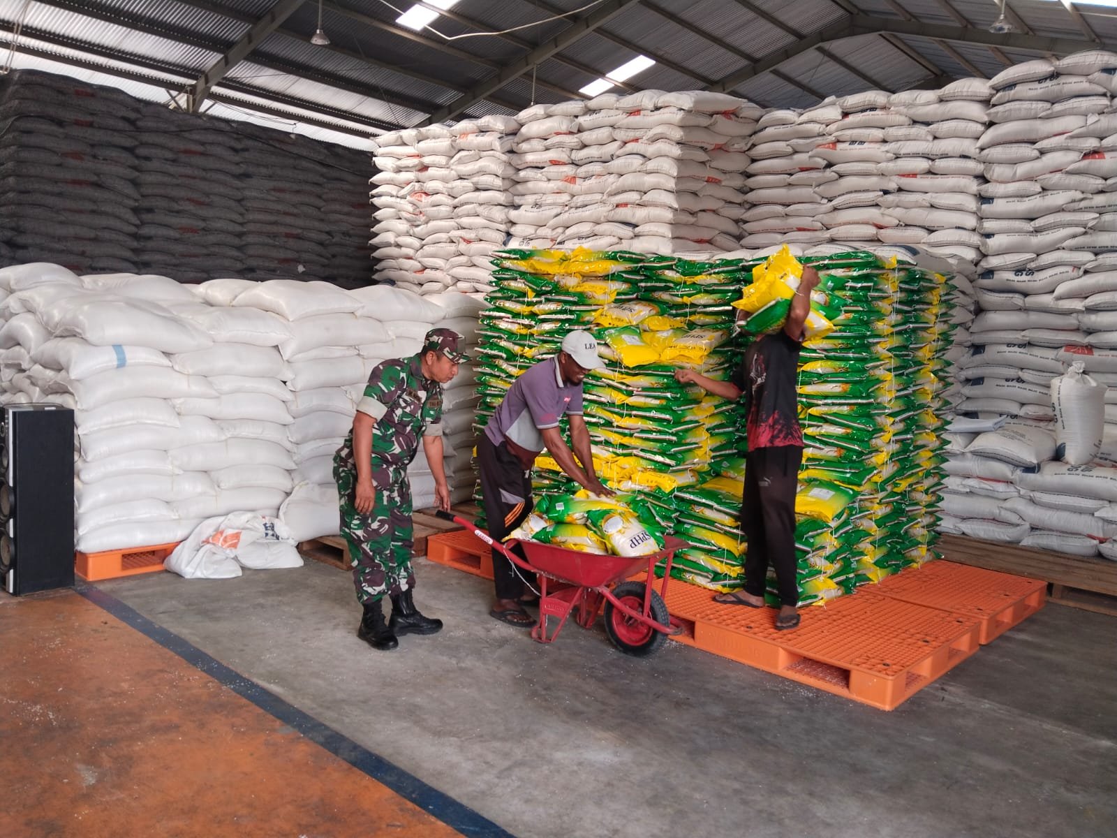 Babinsa Tinjau Proses Packing Beras di Bulog Blangpidie