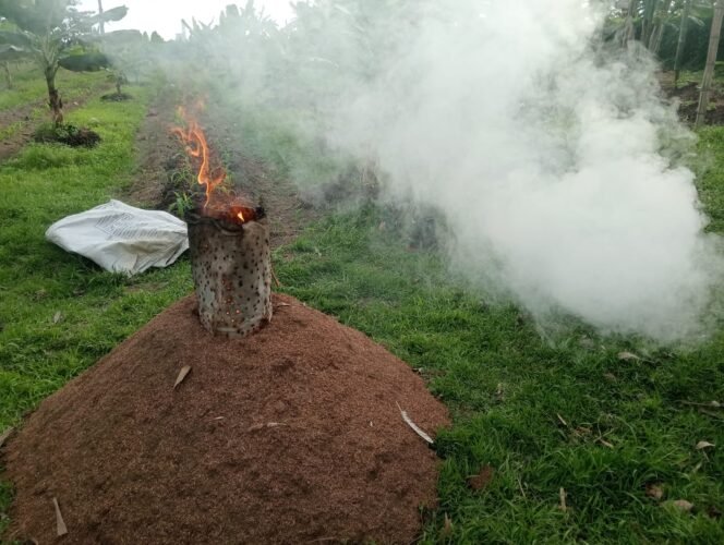 
					Meningkatkan Kemandirian Pangan: Korem 012/Teuku Umar Berikan Pelatihan kepada Personel Yonif TP 856/SBS