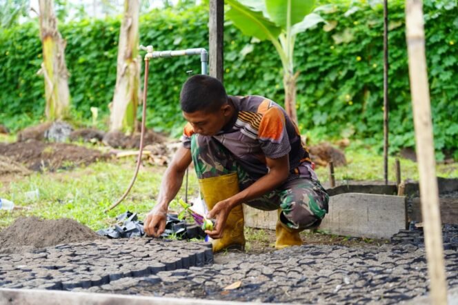 
					Korem 012/TU Budidayakan Terong Hijau Pondoh untuk Mendukung Ketahanan Pangan dan Ekonomi Prajurit