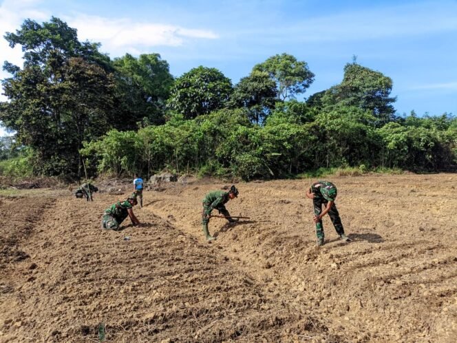 
					Sinergi TNI dan Rakyat, TMMD ke-126 Kodim 1013/MTW Dorong Kemandirian dan Kesejahteraan Petani Desa Jamut