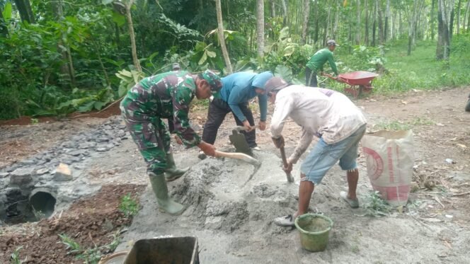 
					Semangat Gotong Royong Warnai Pembangunan Gorong-Gorong TMMD 126 di Way Kanan