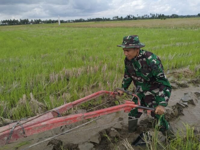 
					Babinsa Kel. Salomallori Serda Syampraja Dukung Petani, Bantu Pengolahan Lahan Sawah di Dua Pitue