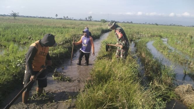 
					Babinsa Sidenreng Bersama PPL dan Petani Bersihkan Saluran Irigasi, Persiapan Musim Tanam 2026
