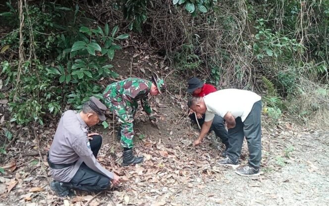
Babinsa Koramil 1420-05/Dua Pitue dan Kementerian Kehutanan Bersinergi, Patroli Ketat Batas Hutan Lindung di Sidrap