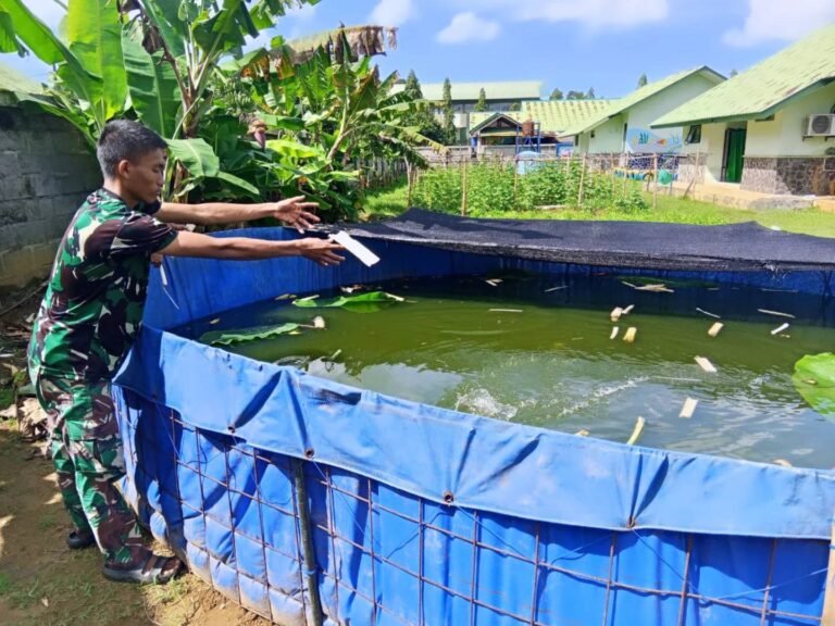 Prajurit Yonif 116/GS Berinovasi, Budidaya Ikan untuk Kemandirian Pangan