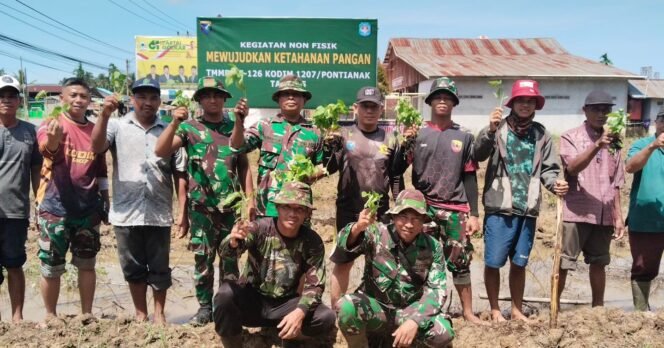 
					Satgas TMMD ke-126 Kodim 1207/Pontianak dan Warga Desa PAL IX Kembangkan Ketahanan Pangan