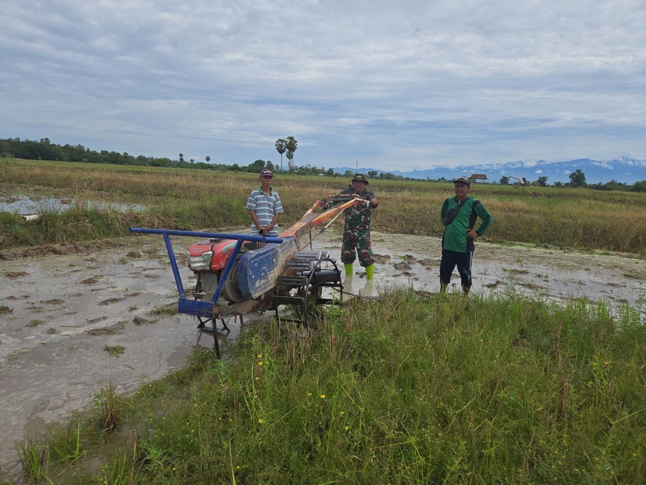 Babinsa Dampingi Petani Olah Lahan, Dukung Program Ketahanan Pangan di Sidrap
