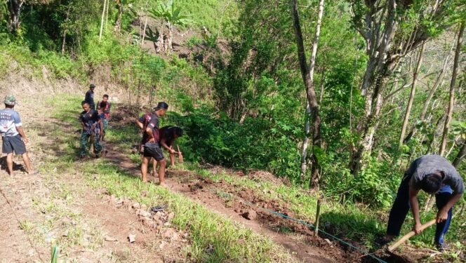 
					Warga Rado Antusias, Jalan TMMD Permudah Akses ke Pasar dan Lahan Pertanian
