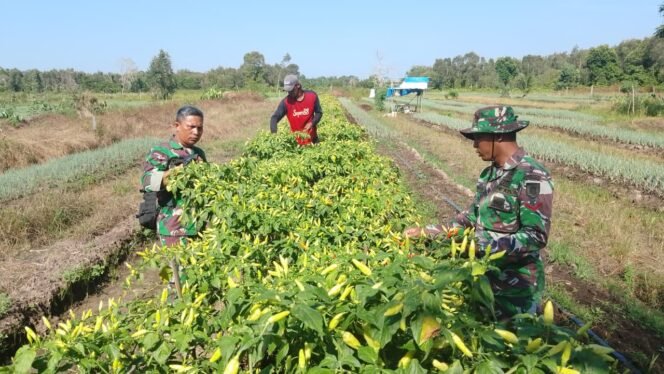
					Kopda Metia dan Tim Satgas TMMD: Membantu Warga Bukan Sekadar Tugas