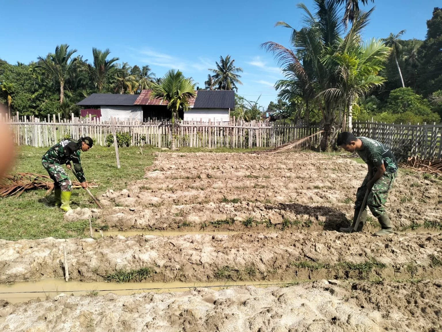 Wujud Kepedulian TNI, Jajaran Korem 012/Teuku Umar Bantu Petani Tingkatkan Produksi Cabai