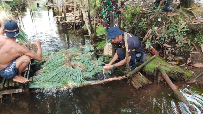 
					Dari Lapangan ke Ladang, Sertu Abriansyah Bantu Petani Pasca Panen