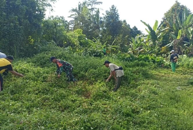 
					Personel Koramil Baturiti Turun Langsung Dalam Aksi Bersih-Bersih Penyiapan Lahan Pembangunan KDKMP