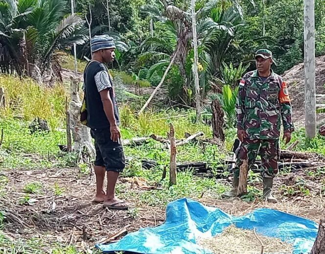 
					BABINSA MEMBANTU WARGA DI WILAYAH BINAANNYA UNTUK MENGOLA HASIL PERTIAN.