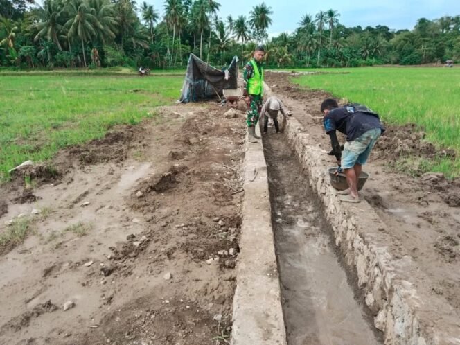 
					Dukung Program Pertanian, Babinsa Dampingi Pembuatan Saluran Irigasi Permanen