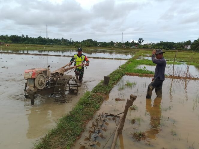 
					Babinsa Koramil 02/Woyla, Bantu Petani Bajak Sawah dengan Menggunakan Hand Traktor di Wilayah Binaan