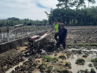 Sertu Iwan Bantu Petani Bajak Sawah, Dukung Program Pemerintah