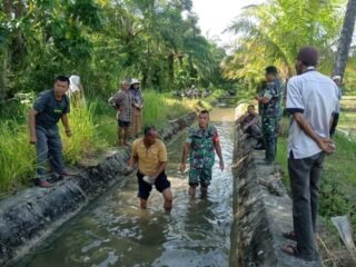 Jajaran Korem 012/TU Dampingi Petani, Babinsa Babahrot Tinjau Kerusakan Irigasi di Simpang Gading