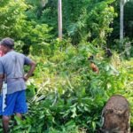 Warga Antusias Ikuti Gotong Royong Bersama Babinsa Koramil 03/Saketa