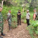 Dandim 1624/Flotim Survey Lokasi Secara Langsung Untuk Memastikan Lahan Pembangunan Koperasi Merah Putih Di Empat Desa Kecamatan Lewolema