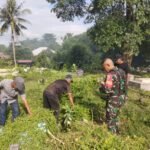 Perkuat Kebersamaan, Babinsa dan Warga Karijawa Gotong Royong di TPU