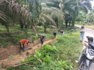 Wujud Kepedulian Jajaran Korem 012/TU, Babinsa Turun Langsung Bantu Masyarakat