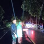 Koramil 1001-07/Amuntai Tengah Bergerak Cepat Tangani Pohon Tumbang Pasca Hujan Deras