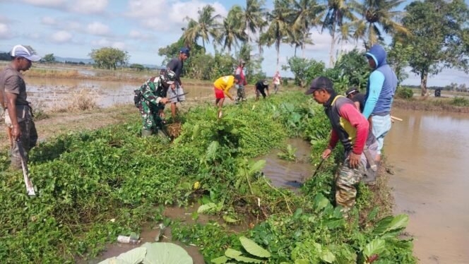 
					Sinergi TNI dan Petani, Babinsa Koramil 1420-06/Pancarijang Gelar Karya Bakti Bersihkan Irigasi di Desa Abokongan