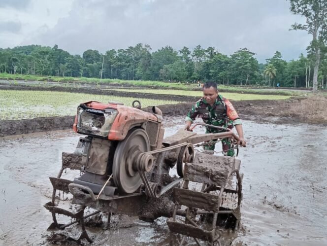 
Babinsa Koramil 02/Walakaka Bantu Warga Siapkan Lahan Sawah di Desa Sodana