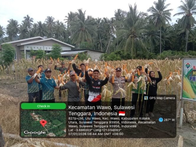 
Babinsa Koramil 1412-08/Ranteangin Dampingi Program BUMDes Ketahanan Pangan Panen Jagung