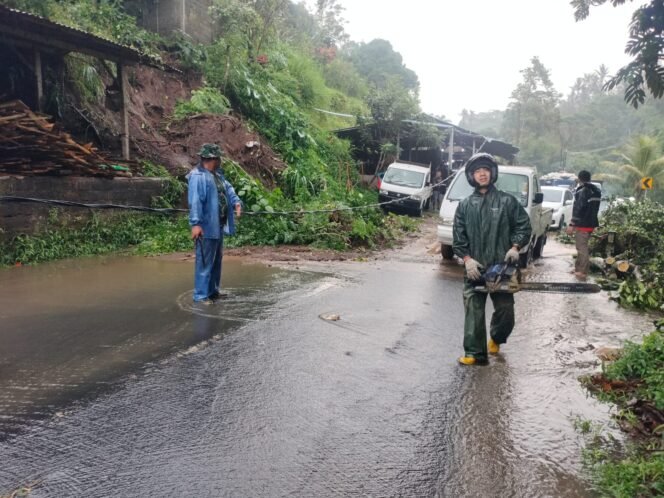 
Babinsa Desa Jehem Bersama Warga Evakuasi Pohon Nangka Tumbang di Jalan Provinsi