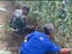 Mendukung Ketahanan Pangan, Kodim 0428/MukoMuko Bantu Perawatan Tanaman Jagung