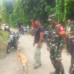 Guna Memutus Rantai Rabies, Babinsa Tamanbali Dukung Vaksinasi di Desa Tamanbali