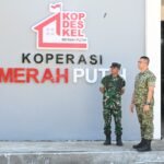 Percepat Ekonomi Kerakyatan, Danrem 141/Tp Ikuti Rapat Evaluasi KDKMP