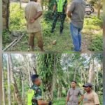 Babinsa Koramil 02/Woyla, Sambangi Petani dan Toke Karet di Wilayah Binaan