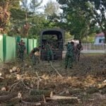 Kodim 0114/Aceh Jaya Gelar Pembinaan Pangkalan Antisipasi Pohon Tumbang