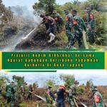 Kodim 0105/Abar Terjunkan Personel Padamkan Kebakaran Lahan Gambut