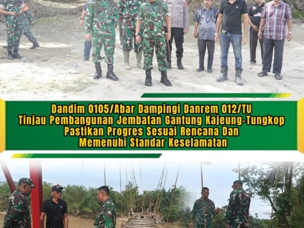 Dandim 0105/Aceh Barat Dampingi Danrem 012/TU Cek Konstruksi Jembatan Gantung Sungai Woyla