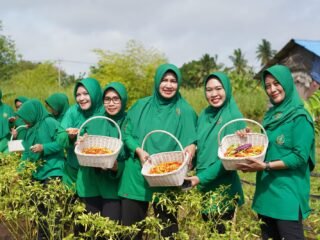 Manfaatkan Lahan Tidur, Korem 174/ATW Wujudkan Kebun Cabai Produktif