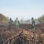 Kebakaran Meluas, Danrem 012/TU Pastikan Penanganan Berjalan Optimal