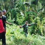 Babinsa Desa Bunutin Dampingi Danramil Cek Lokasi Lahan KDKMP