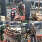 Wujudkan Kemanunggalan TNI-Rakyat, Babinsa Pimpin Gotong Royong Perbaikan Pagar Makam di Desa Sumbersuko