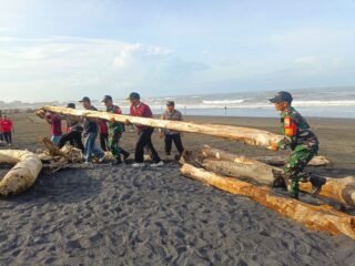 Kodim Tabanan Kerahkan Personel Lintas Sektor Bersihkan Pesisir Pantai Tabanan dari Timur hingga Barat