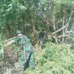 Karya Bhakti Babinsa Koramil 1612-03/Borong, Jalan Cepiwatu Kini Lebih Bersih dan Nyaman Dilalui